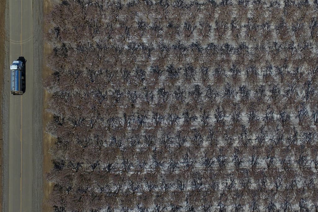 Más de tres cuartas partes del 
<b>cultivo de almendras de California </b>se destina a la 
<b>exportación</b>, por lo que los
<b> <a href="https://www.univision.com/noticias/politica/aranceles-trump-impacto-empresas-consumidores" target="_blank">nuevos aranceles</a></b> a 
<b>China, Canadá y México</b> podrían generar efectos en la economía del estado.