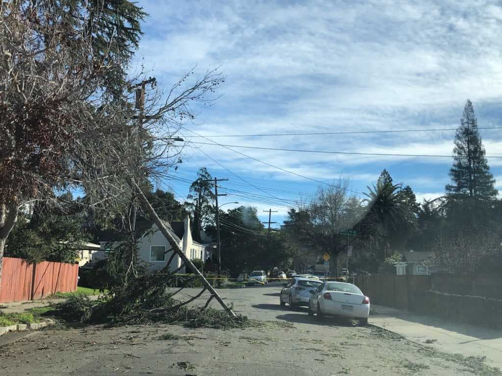 El mapa de apagones de PG&E muestra que la mayoría de los apagones que han afectado al Área de la Bahía en las últimas horas ocurrieron en las ciudades de Berkeley, Oakland y San Leandro. En la imagen, una televidente de Noticias Univision 14 se encontró con este árbol caído en la zona en la intersección de Fruitvale Avenue y Whittle Avenue, en Oakland.