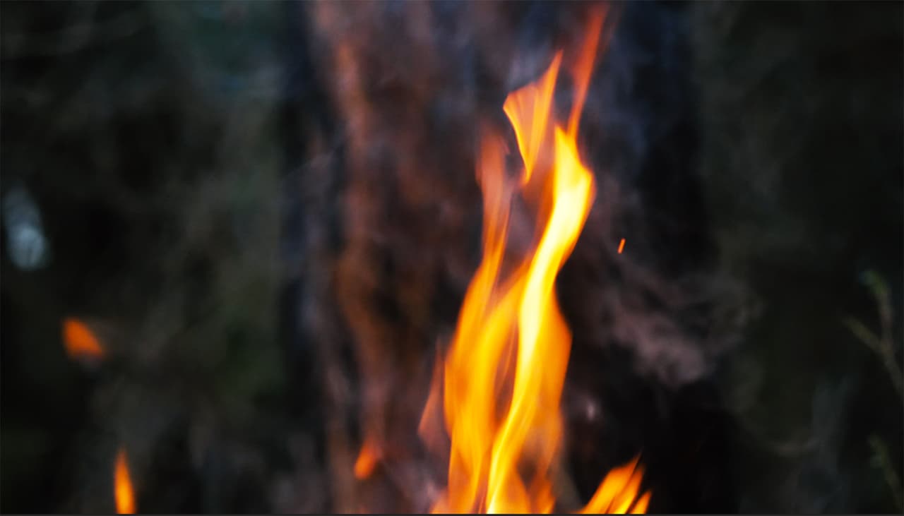 Si ves un incendio forestal, disminuye la velocidad y enciende los faros e intermitentes. El humo generado por la combustión reduce la visibilidad.
<br>