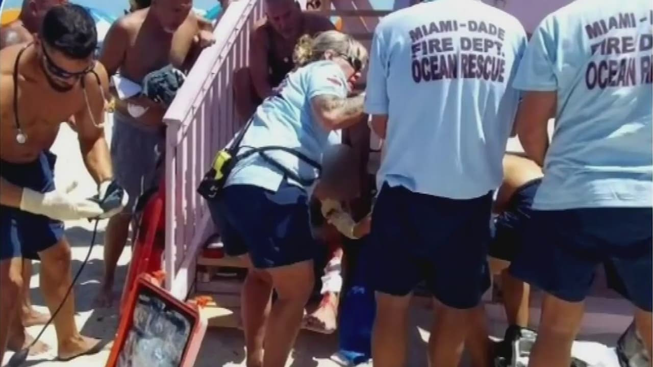 Tiburón muerde a bañista en una playa de Miami