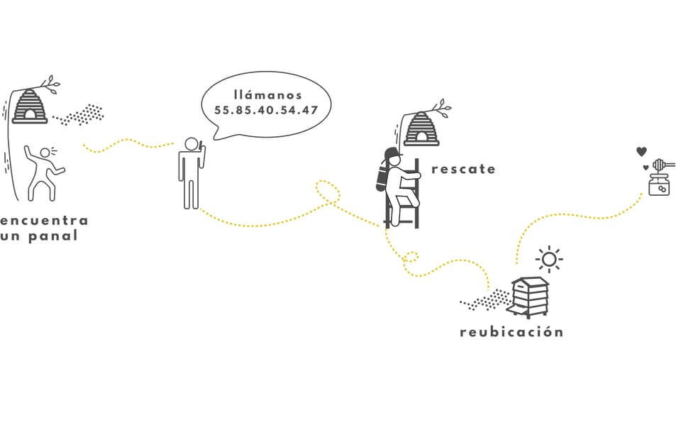 Así funciona Efecto Colmena