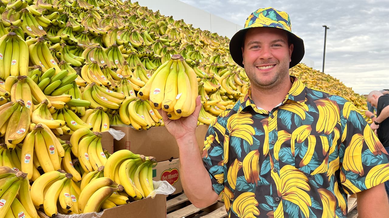 Una muestra de
<b> más de 70,000 libras de bananas</b> rompió un 
<b>récord Guinness</b> de la exhibición de frutas más grande del mundo en el suburbio
<b> de Westmont, en Chicago</b>. 
<br>