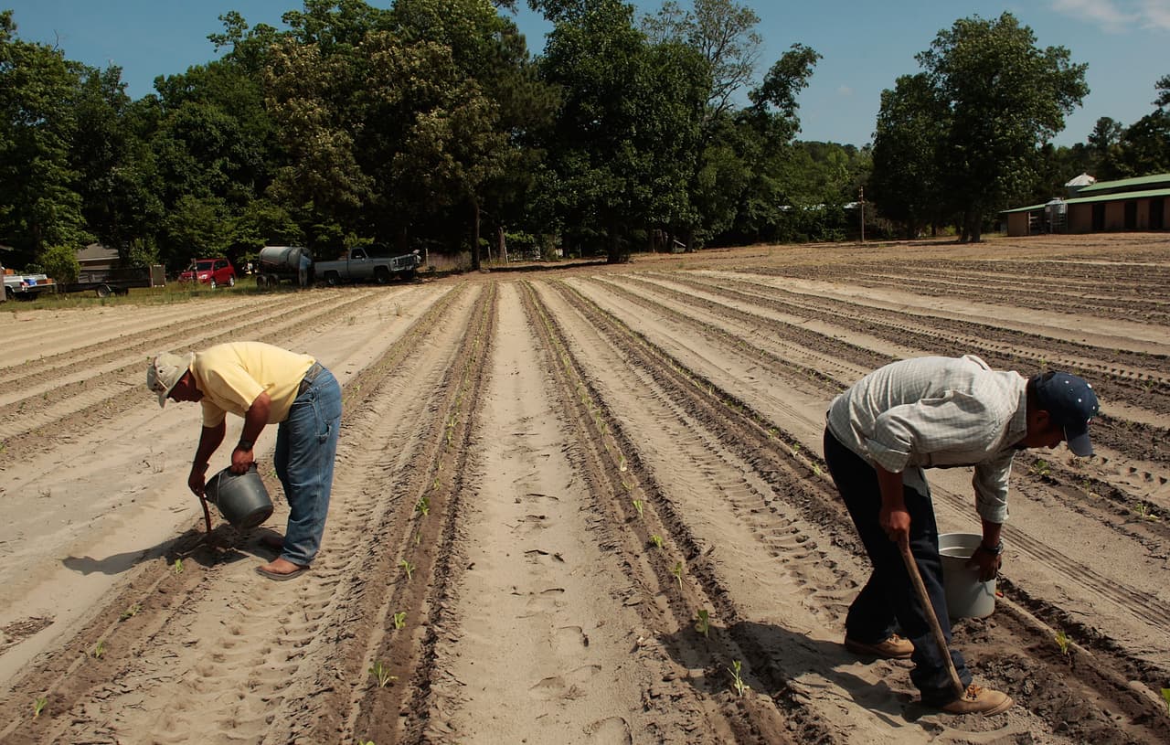 Estas propuestas de leyes podrían afectar a inmigrantes en Carolina del Norte