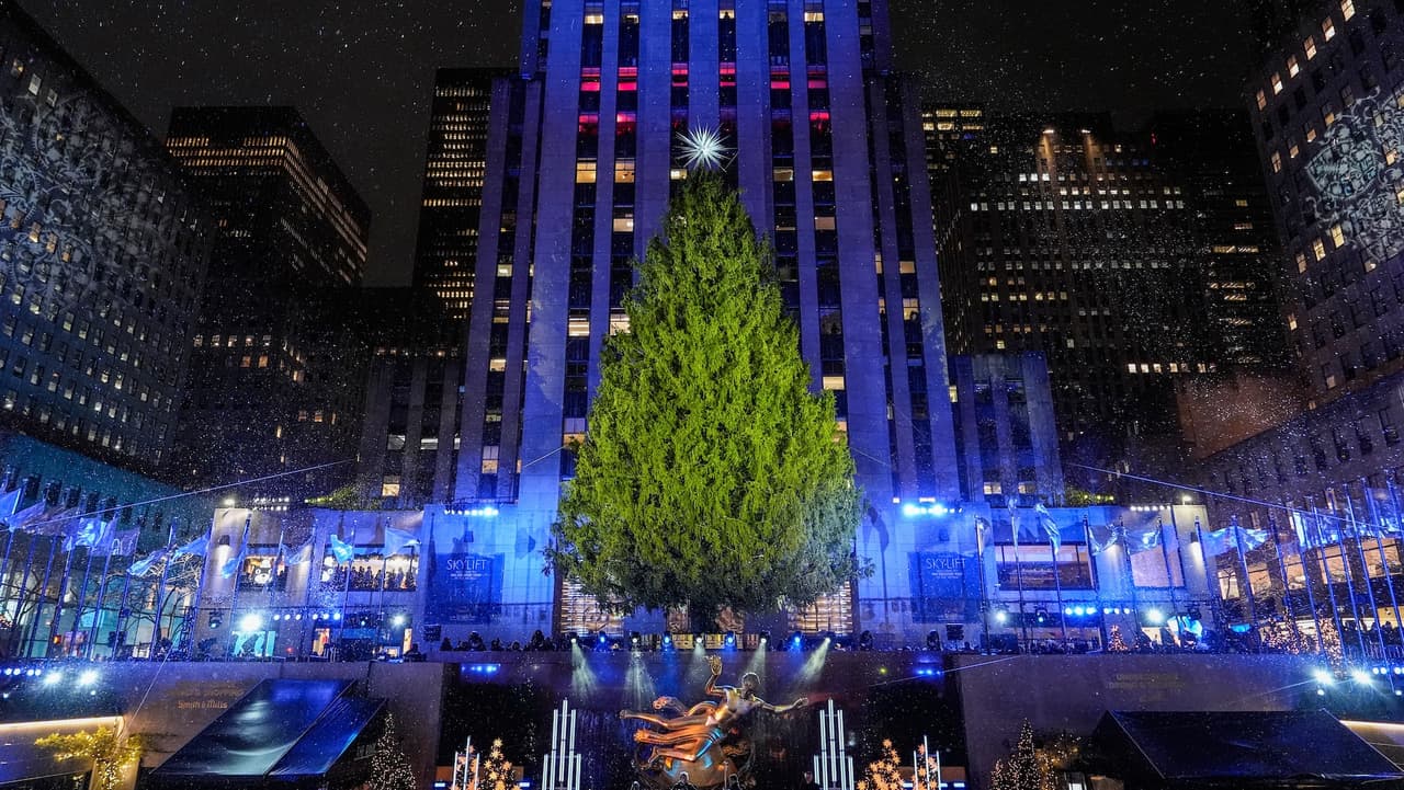 Rockefeller Center revela su árbol de Navidad 2025: tiene 75 años y mide 75 pies