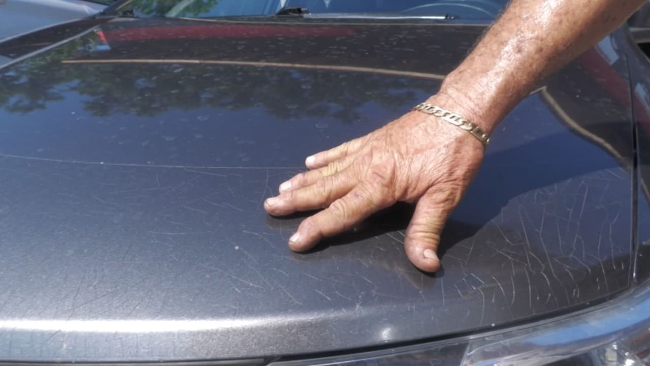 Cuidar la pintura del auto es lo más difícil, ya que es una de las partes con más desgaste y exposición que existe en un vehículo. 
<b>Los rayos del sol "dañan", de cierta manera, la pintura. </b>No obstante, dejando el auto en la sombra o cubirlo para evitar contacto con el sol, son soluciones idóneas.