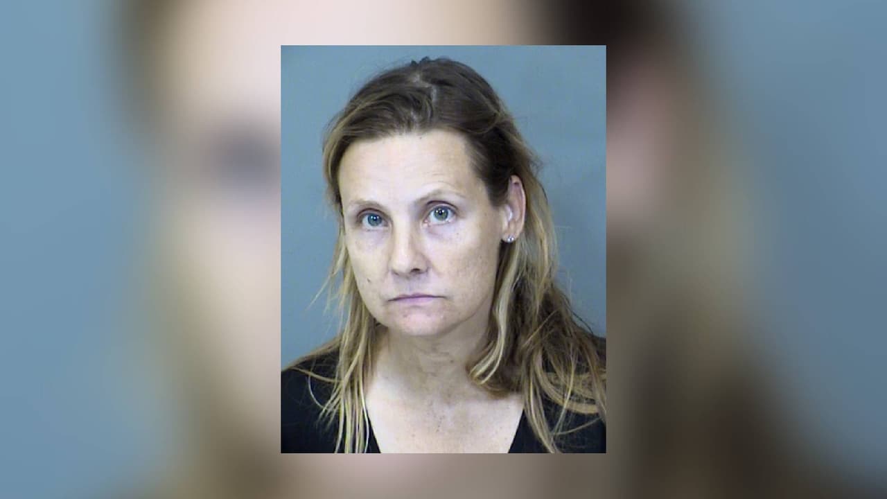 Encuentran cachorros muertos en un congelador y 55 perros en malas condiciones en Chandler