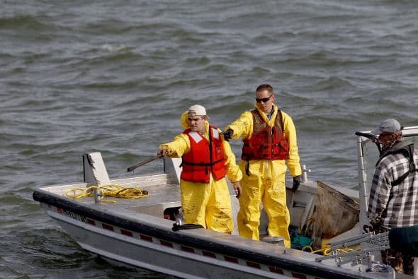 Continúan las labores de limpieza tras derrame de petróleo