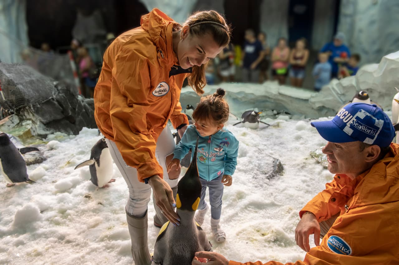 Aunque tenía un poquito de frío, Michelle descubrió que los pingüinos son muy amistosos.