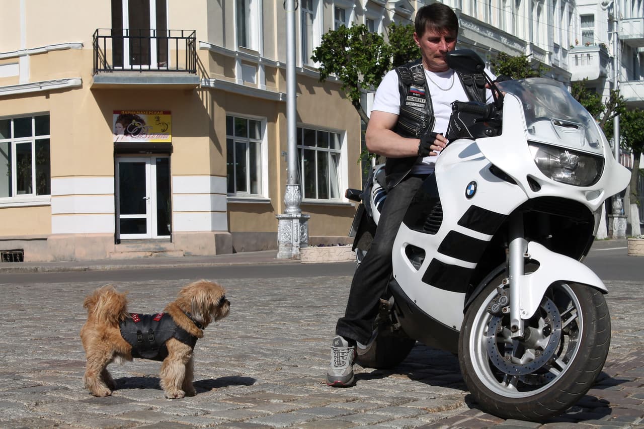 Su color favorito es el rojo, por lo que tiene un par de gafas de este color. ¡Aunque las de color oscuro no pueden faltar para hacerlo lucir fantástico!