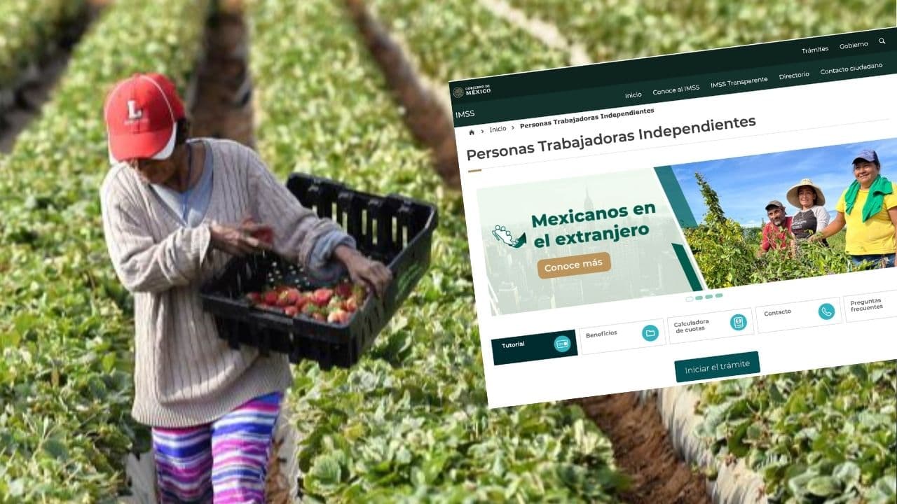 Pros y contras del programa que permite a trabajadores mexicanos residentes en EEUU darse de alta en el IMSS