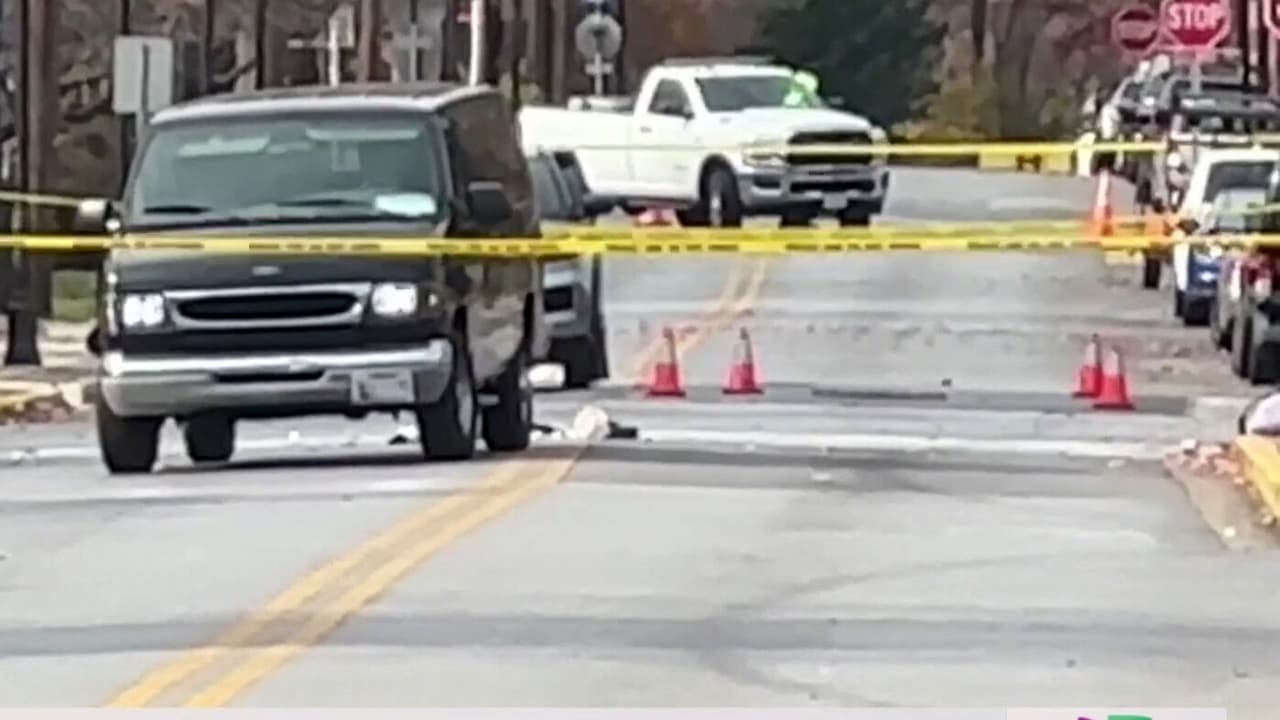 Las víctimas fueron identificadas como la pequeña 
<a href="https://www.univision.com/local/washington-dc-wfdc/riverdale-park-elementary-school-ninos-atropellados-investigacion-meses">Shalom Mbah, de 10 años, y Sky Sosa, de 5 añitos</a> y de origen hispano. Ambos fueron declarados muertos, mientras el hombre que los acompañaba fue reportado estable.
<br>