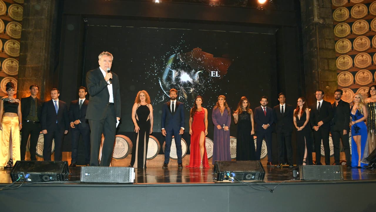 "Vino el amor" cuenta la historia de "Luciana", una joven que tras haber sido deportada con su padre en una redada varios años atrás, regresa a Sonoma, California, para reencontrarse con su familia en los viñedos de la "Bodega de los Ángeles".