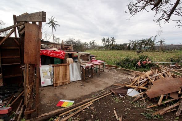 Numerosos arrozales y maizales fueron destruidos, justo antes de la cosecha.