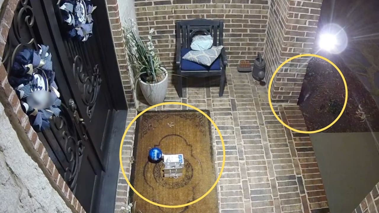 Video de seguridad revela el inusual robo, cuando el tlacuache acecha el paquete de galletas.