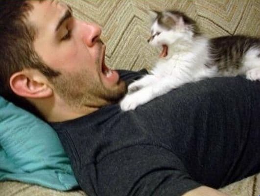 El fantasma siguió apareciendo en sus sueños, por lo que Ellis decidió gastar su primera pregunta para conocer de qué forma había muerto. "En un accidente en una tienda", contestó el niño. No satisfecho con la respuesta, el joven volvió a preguntar: "¿De qué forma?", el niño volvió a contestar: "alguien empujó un estante sobre mí".