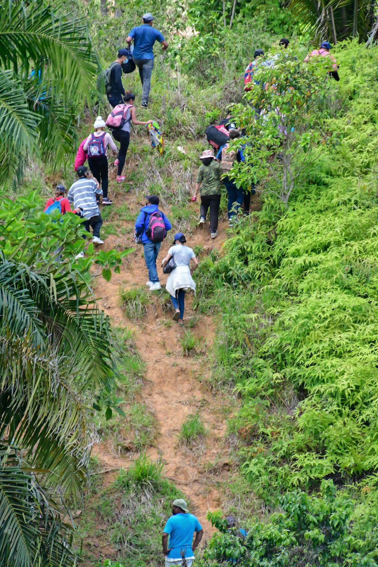 El titular del Instituto Nacional de Migración mexicano (INM), Francisco Garduño, afirma que redes de traficantes de personas han vendido a los migrantes la ilusión de llegar a Estados Unidos sin riesgos. Indicó que por ello reforzarían la presencia en estados fronterizos, para "evitar que niños, niñas y adolescentes sean utilizados como pasaporte para llegar a la frontera". La semana pasada,
<a href="https://www.univision.com/temas/mexico-city">México</a> comenzó a limitar los cruces en su frontera sur a únicamente viajes esenciales, e incrementó los operativos para interceptar a migrantes en la región, en especial a familias.