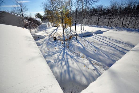 Ocho personas han muerto como consecuencia, seis de ellas en Buffalo, Nueva York.