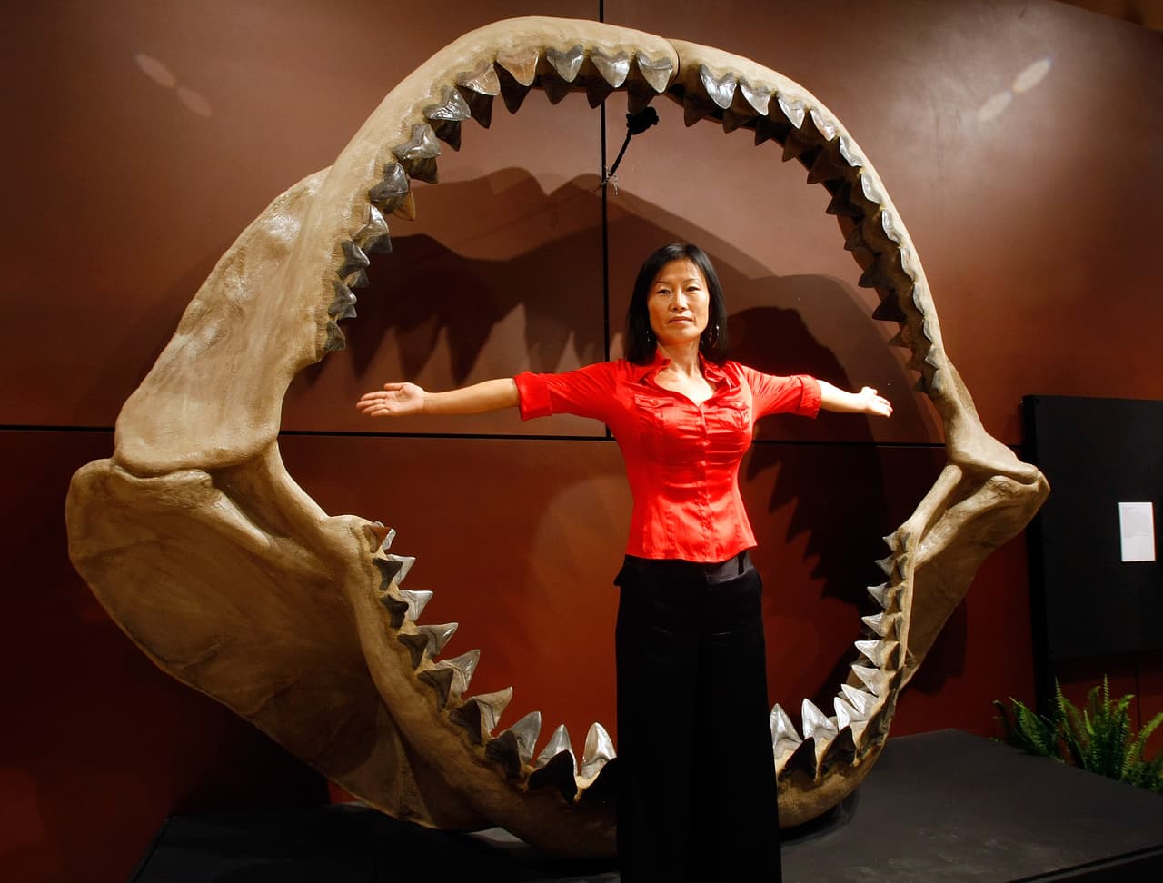 Enya Kim, del departamento de Historia Natural de Bonhams $ Butterfields, posa con una de las mandíbulas de un megalodón.
