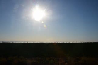 El sol a plomo en el cielo de California.