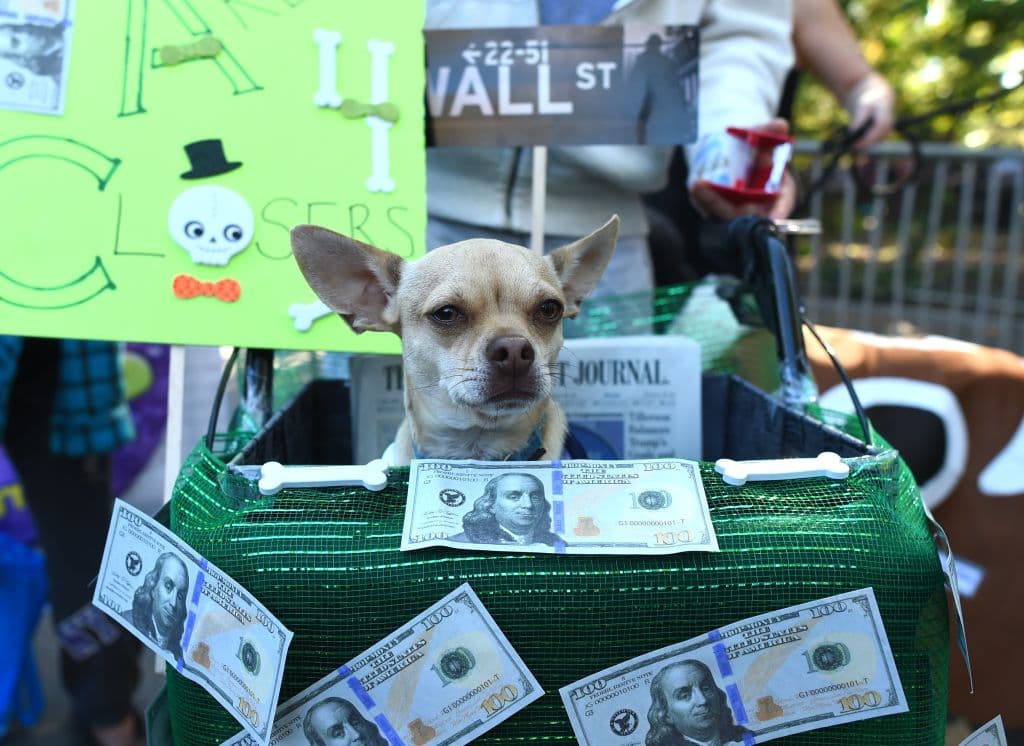 El cinismo es uno de los aspectos más divertidos del desfile, como lo ejemplifica este perro cuyo disfraz gira en torno a Wall Street.
