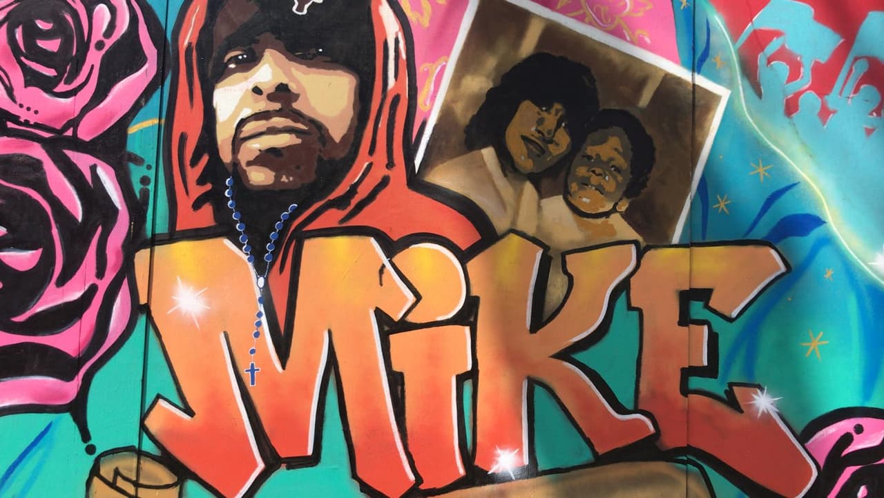 El Departamento de Policía de Austin publicó este lunes nuevos videos que muestran las imágenes de las cámaras corporales de varios agentes durante los disparos contra 
<a href="https://www.univision.com/local/austin-kakw/casos-de-mike-ramos-y-javier-ambler-no-iran-ante-un-gran-jurado-este-ano">Michael ‘Mike’ Ramos el pasado 24 de abril</a>.