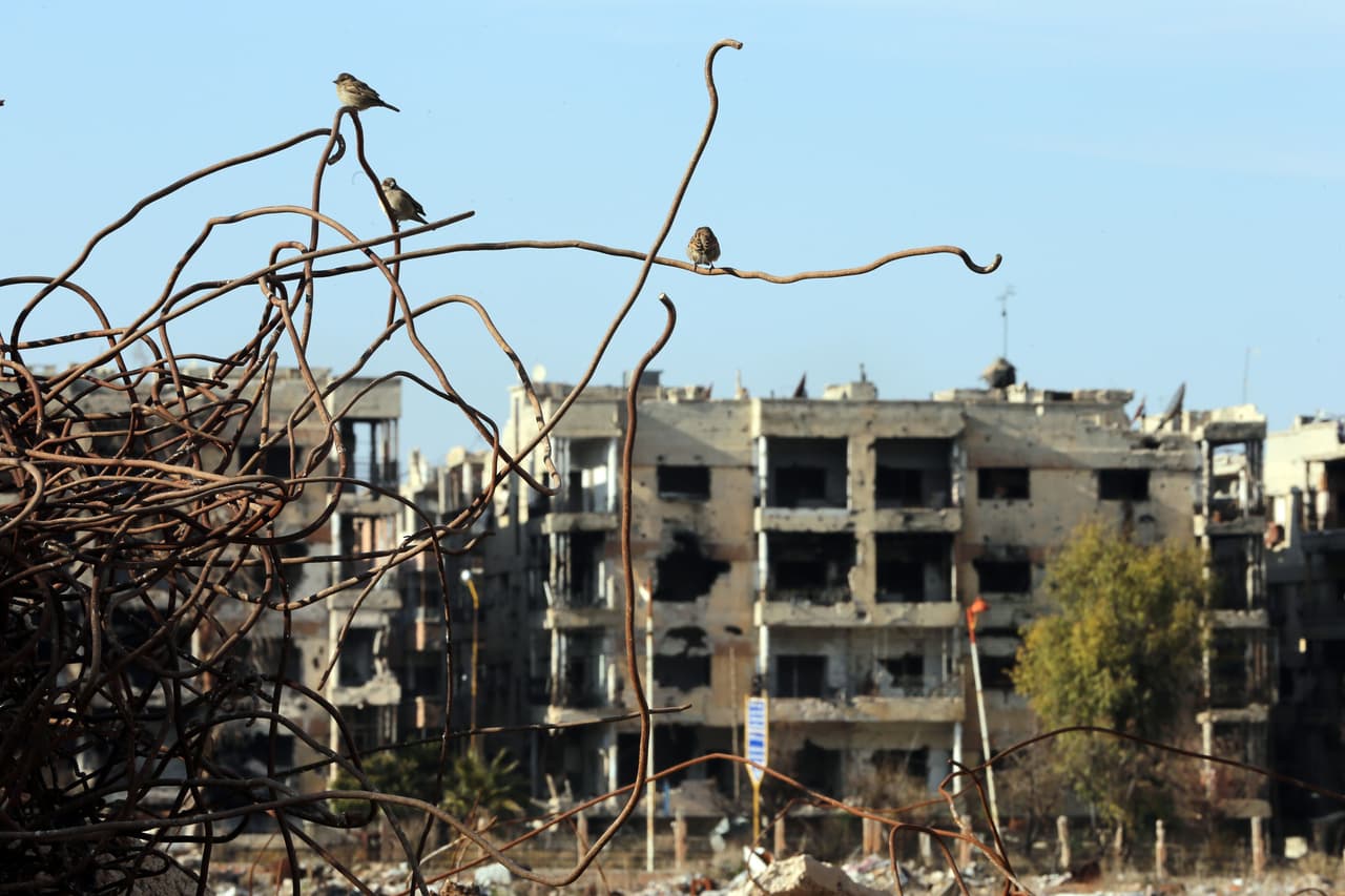 Aves sentadas en las varillas de los edificios destruidos en la devastada ciudad siria de Homs.