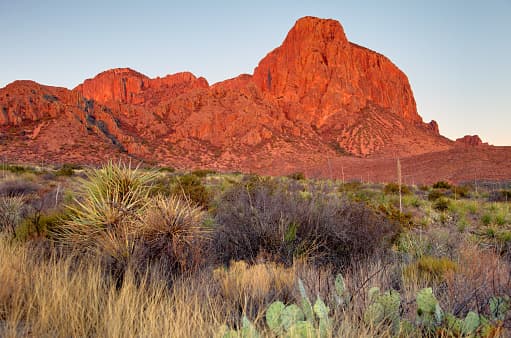 Sin embargo, este 1 de junio el Parque Nacional Big Bend reinició las operaciones.