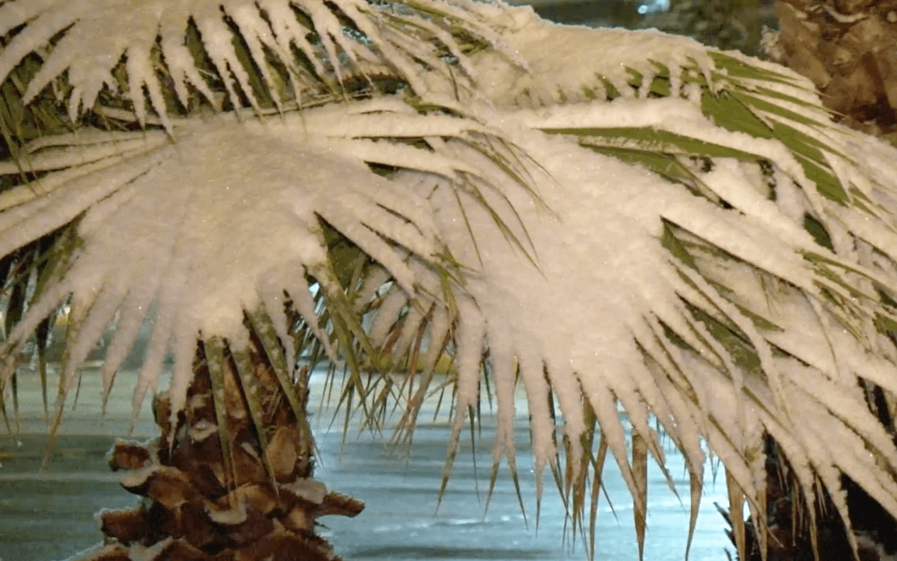 La acumulación de nieve fue más notoria en áreas del oeste y el norte de Houston.