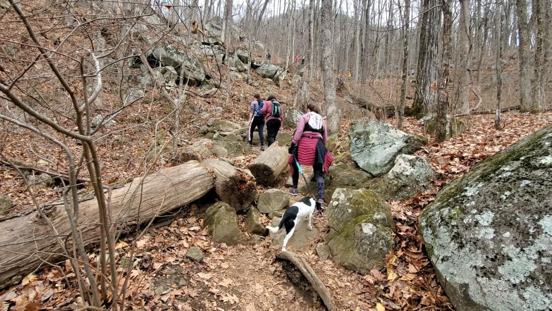 El desafiante sendero de más de 2 millas te permitirá apreciar vistas panorámicas de la región y muchos de los paisajes del norte de Georgia, particularmente desde la parte superior.