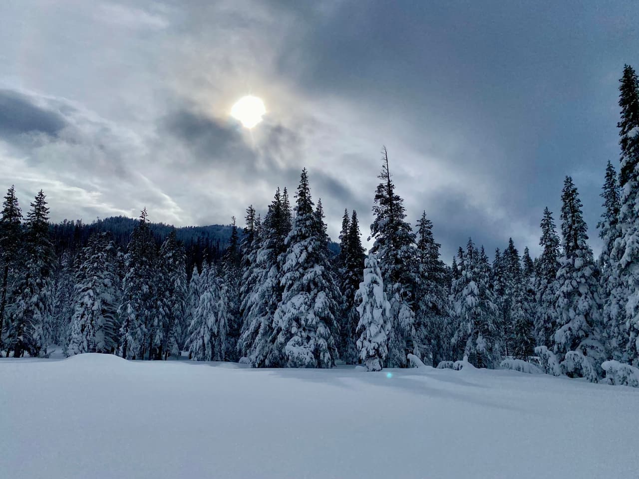 El Departamento de Recursos del Agua en California (DWR CA) publicó imágenes de la estación Philips en la Sierra Nevada cubierta de nieve.