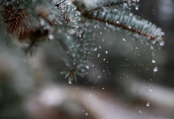 Comienza a nevar en centro de Texas como consecuencia de la histórica tormenta invernal 