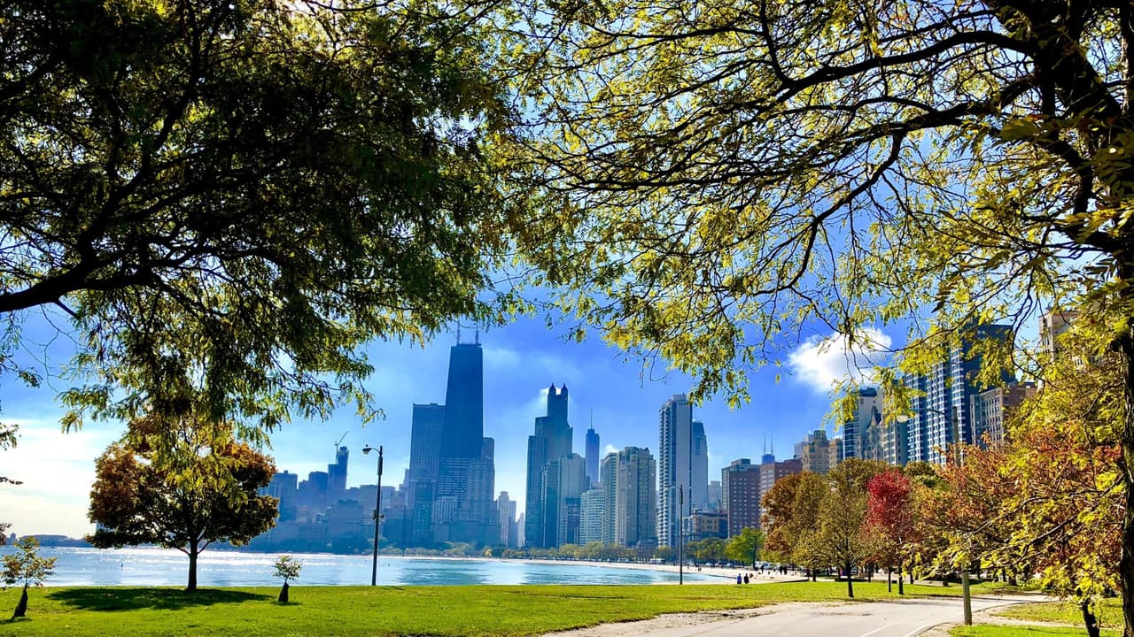 Con 18 millas, el 'Lakefront' ofrece un sinnúmero de posibilidades para quienes buscan tomarse una foto que mezcle la naturaleza, y la arquitectura de Chicago. Cerca de la playa Oak Street beach, inicia el sendero con árboles que empezarán a cambiar el color de sus hojas.
