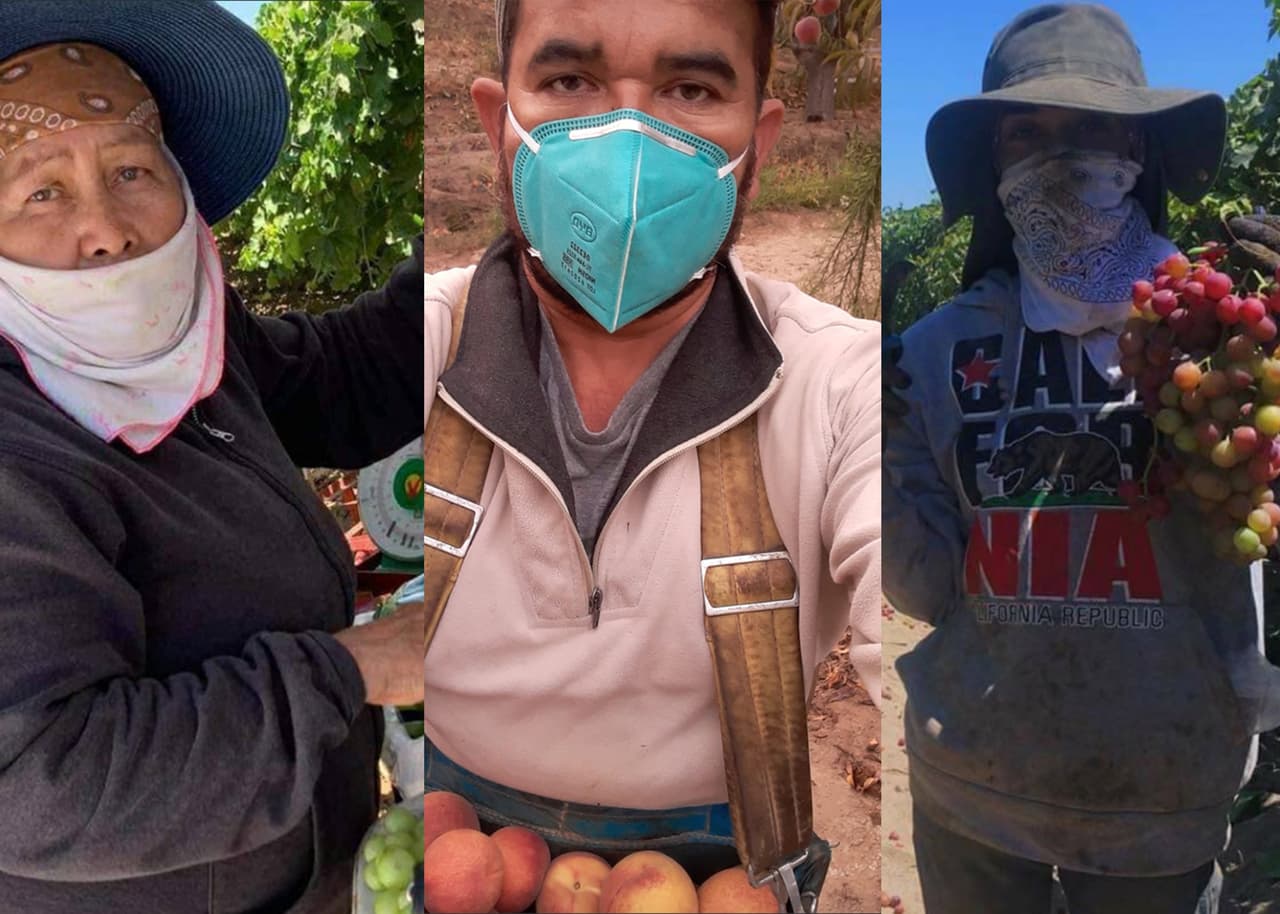 Pese a condiciones adversas y riesgosas para su salud, campesinos mantienen su sonrisa y siguen agradeciendo. Así lo demuestran estas fotografías.