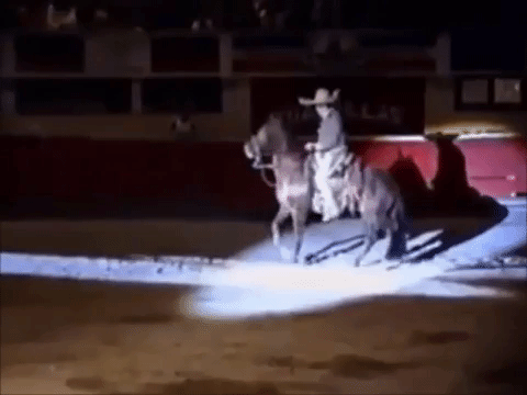 Don Antonio Aguilar, además de interpretar sus famosos corridos (muchos en honor a sus caballos), sabía cómo dominar a los equinos y lo mismo los hacía bailar y saltar que ejecutar un gran número de suertes charras y de la alta escuela.