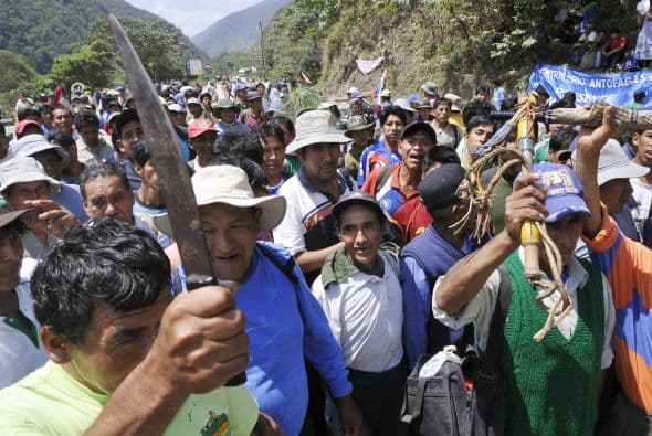 La coca es, además, el principal insumo para la elaboración de cocaína.