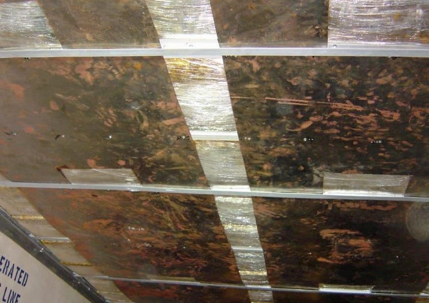 Casi dos mil libras de marihuana, valoradas en US$972 mil dólares, fueron decomisadas en el Puerto de Nogales.