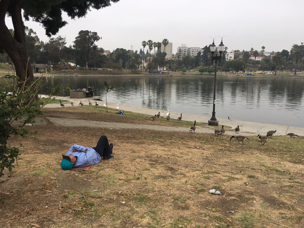 La Mafia Mexicana le otorgó a la MS-13 uno de los cuatro sectores del parque MacArthur.