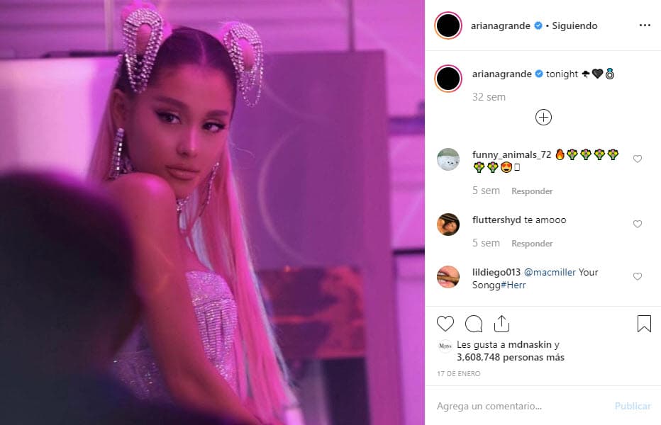 Como pruebas presentaron capturas de pantalla de la cuenta de Instagram de la empresa de ropa que muestran anuncios con una "modelo parecida" físicamente a la intérprete, donde usa el mismo peinado, ropa y accesorios similares a los que la estrella de pop utiliza en el video musical '7 rings'.
<br>