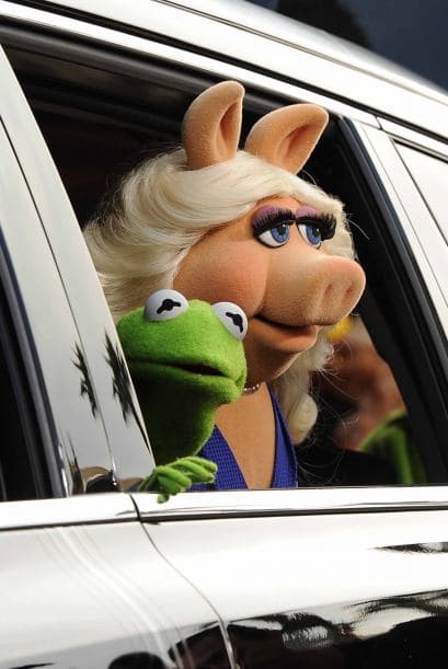 Los famosos títeres llegaron al Capital Theatre durante la premier de su más reciente película y sus fieles fanáticos se apoderaron del boulevard de las estrellas en Hollywood. Muppets Most Wanted es una comedia musical escrita por Bobin y Nicholas Stoller y continúa la saga de 2011 ‘The Muppets’. Esta vez, la rana Kermit y sus amigos se verán envueltos involuntariamente en un crimen internacional, mientras se encontraban de gira por Europa.