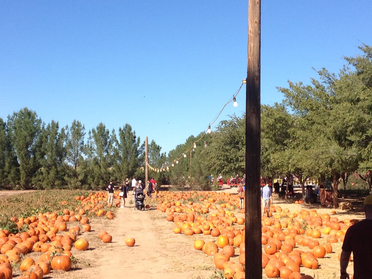Este evento especial se realiza durante todo el mes de octubre de jueves a domingo.
