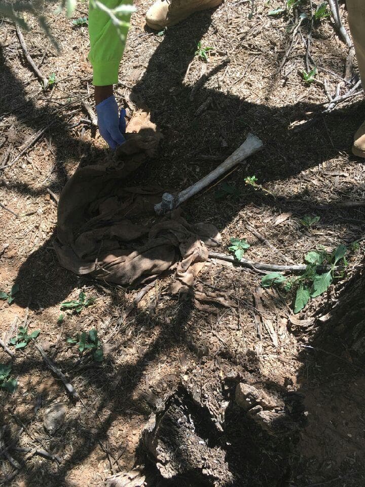 Los restos óseos encontrados pueden haber estado en el lugar por meses.