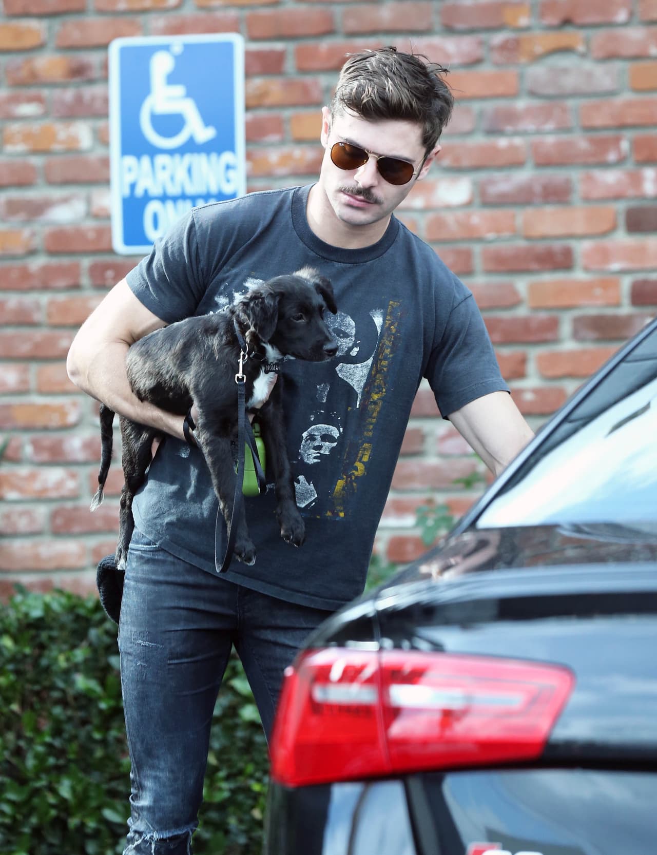 Las estrellas como Zac Efron celebran a sus canes siempre, porque para ellos el 'National Dog Day' es cada día que disfrutan de la compañía de sus fieles amigos.