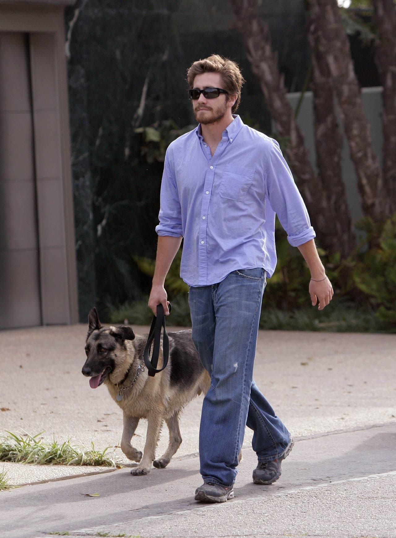 Atticus es el inseparable amigo de Jake Gyllenhaal. ¡Qué no haría el perro por él!