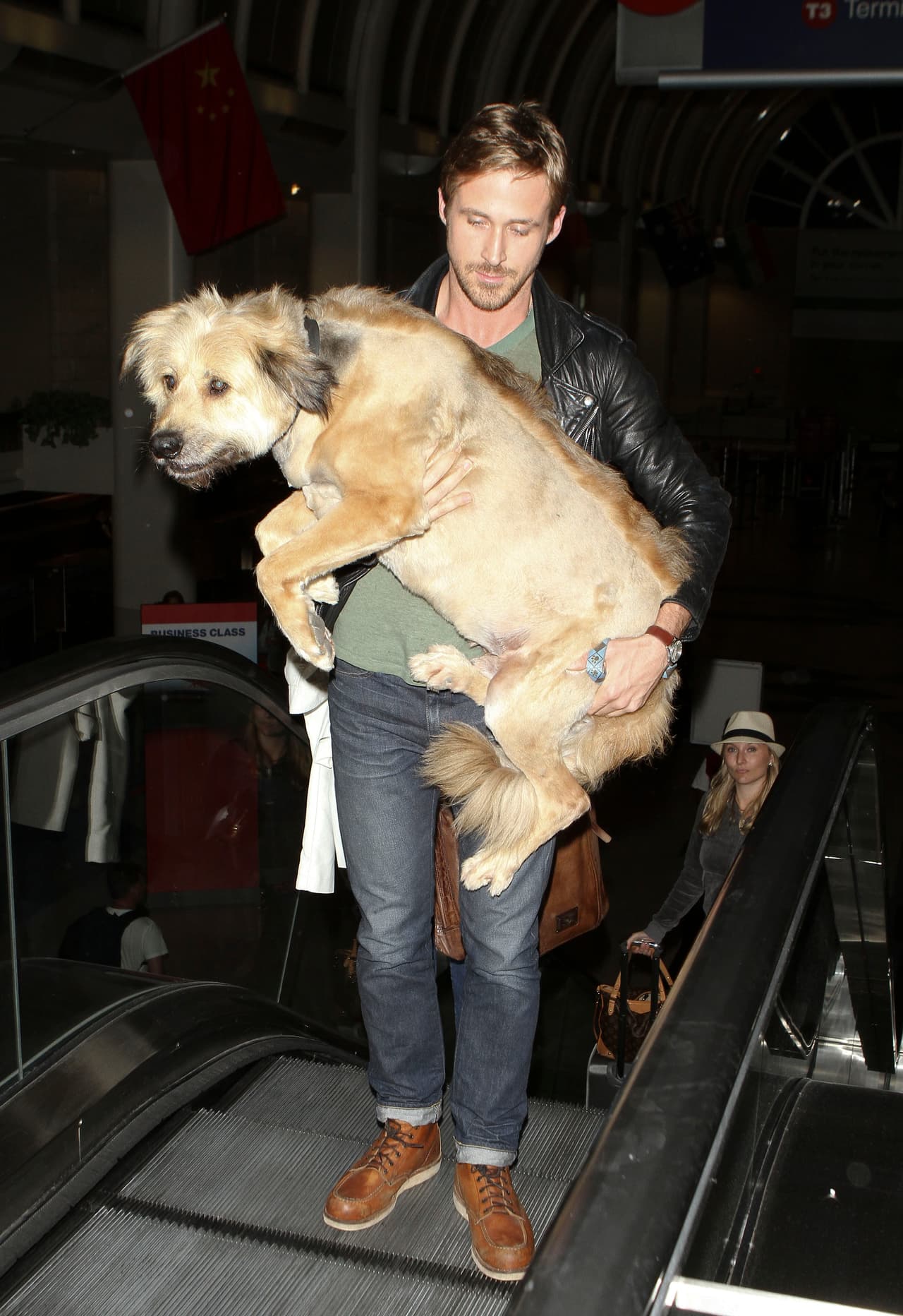 Muchas estarían encantadas de tomar el lugar de George para estar en los brazos de Ryan Gosling.