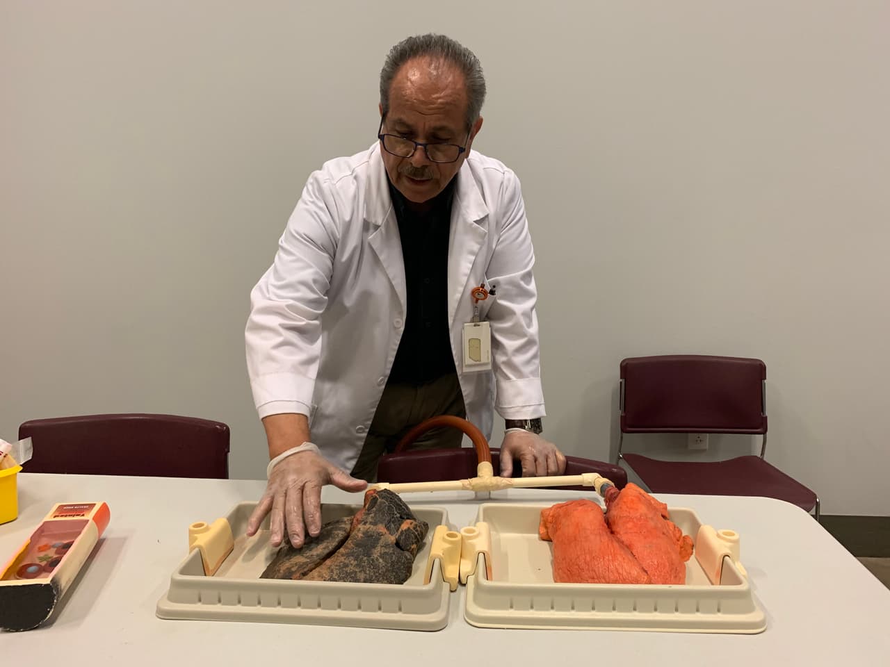 El educador del Museo de la Salud de Houston Gonzalo Pérez nos enseña la diferencia entre un pulmón sano y otro que estuvo expuesto a tóxicos como el tabaco.