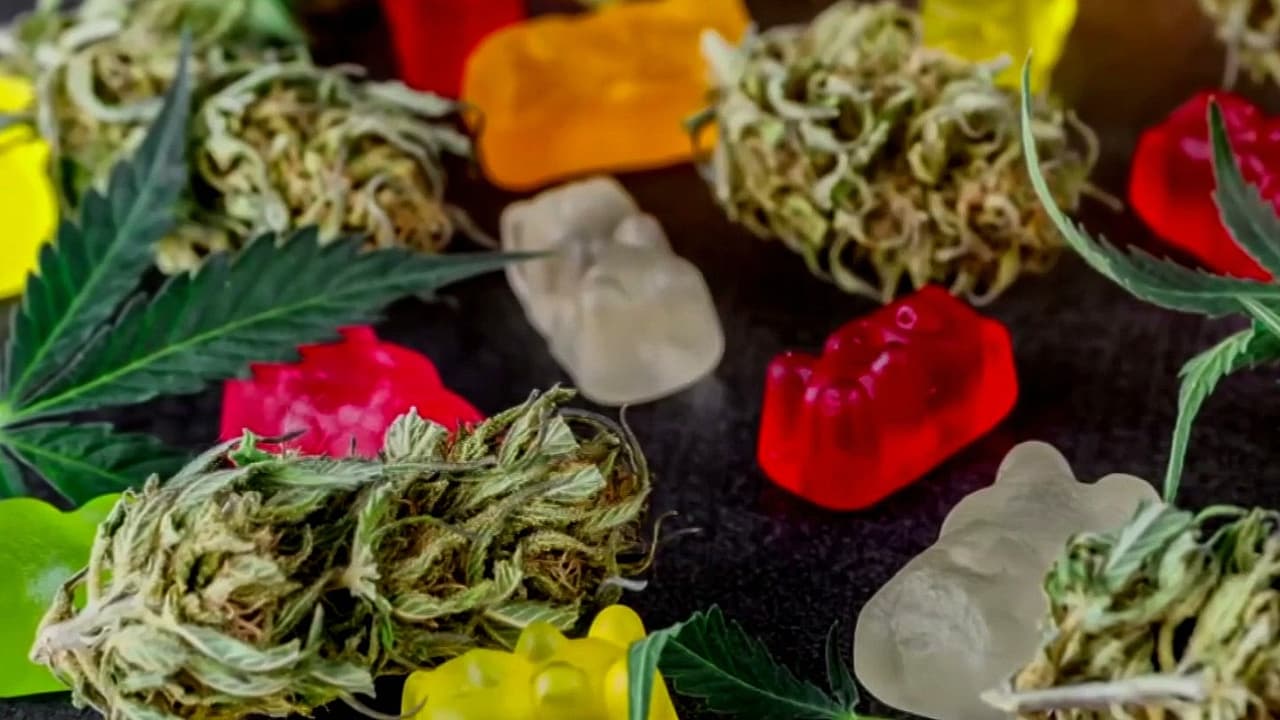 “Podemos tener ansiedad y casos de psicosis”: médico alerta sobre gomitas de marihuana