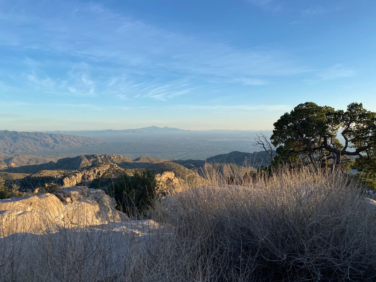 Residentes de Mt. Lemmon y Summerheaven reciben aviso de preevacuación por Bighorn