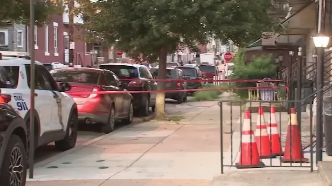 Dos niños de 6 años sufren mordeduras de perros al norte de Filadelfia