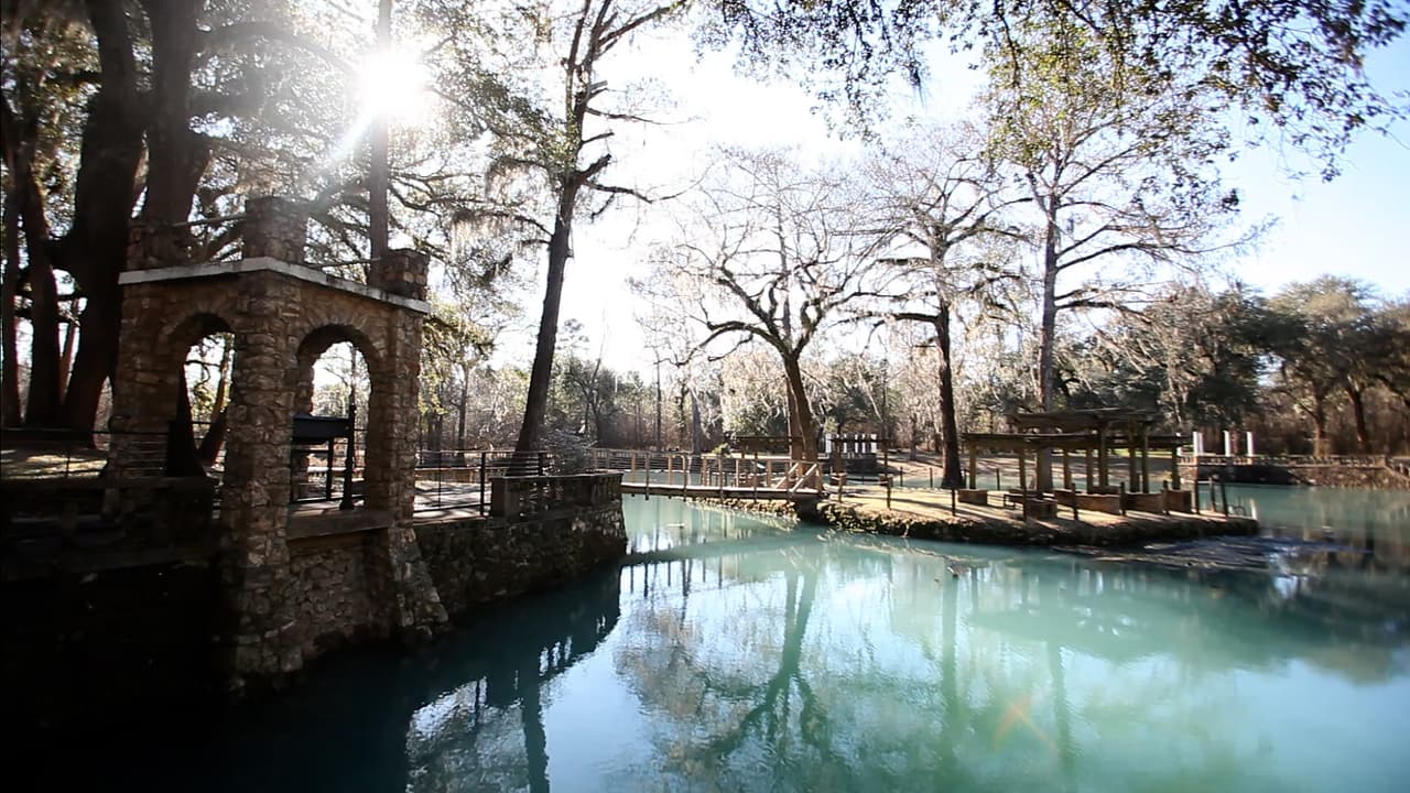Así es Radium Springs Gardens, una de las siete "Maravillas Naturales" de Georgia