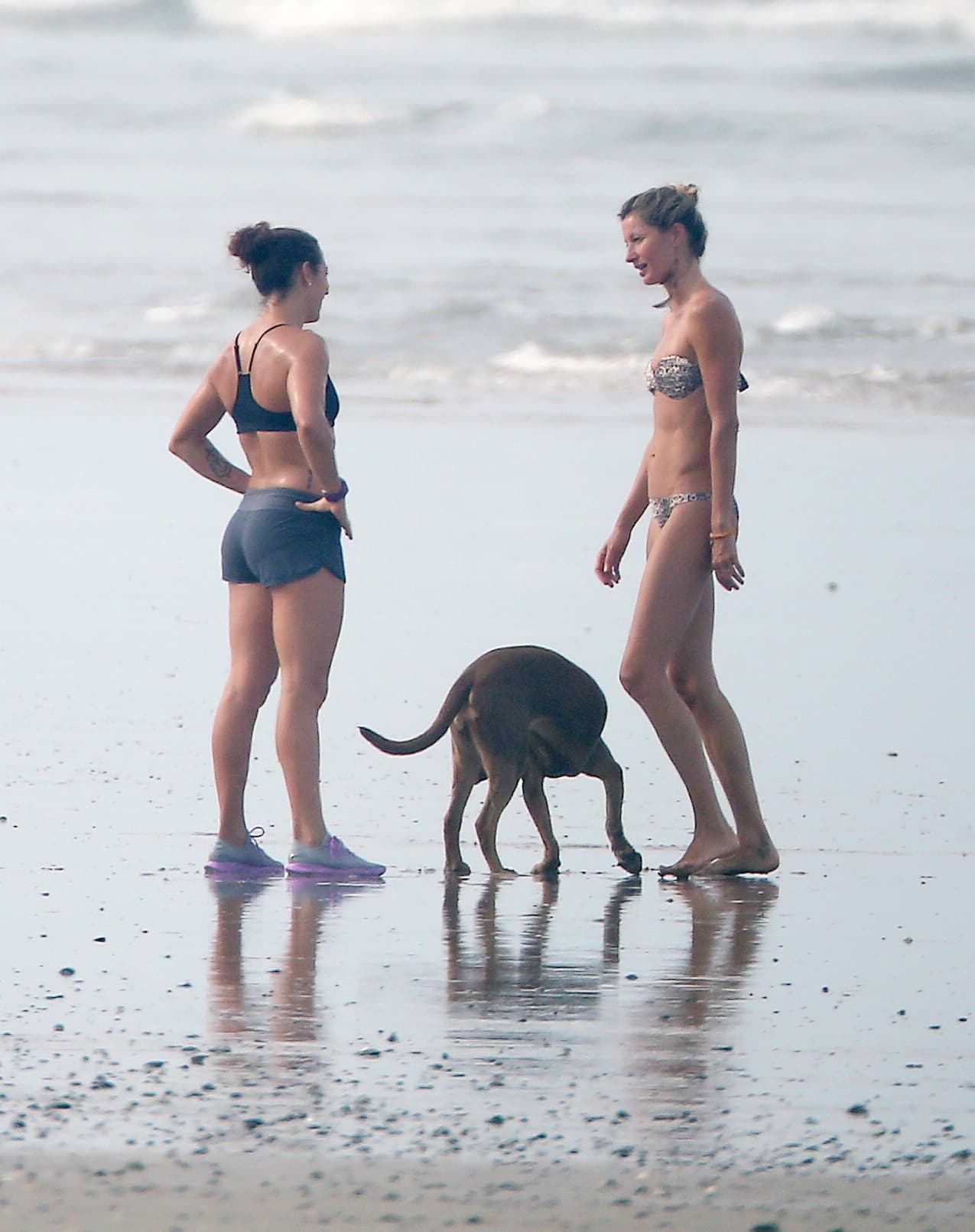 Su mascota también se la pasó muy bien.